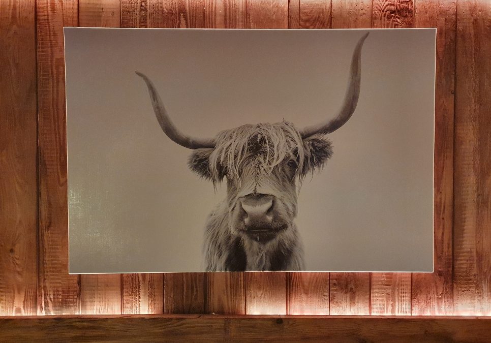 Bild von einer Kuh mit Lichtleiste drumherum